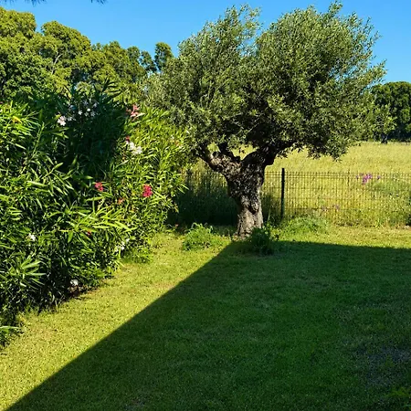 Villa Les De Fiori Di Cala Rossa